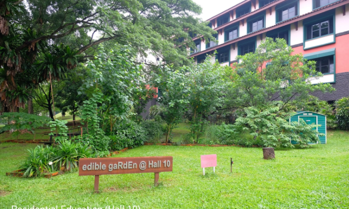 Hall Of Residence 10, Hall 10 