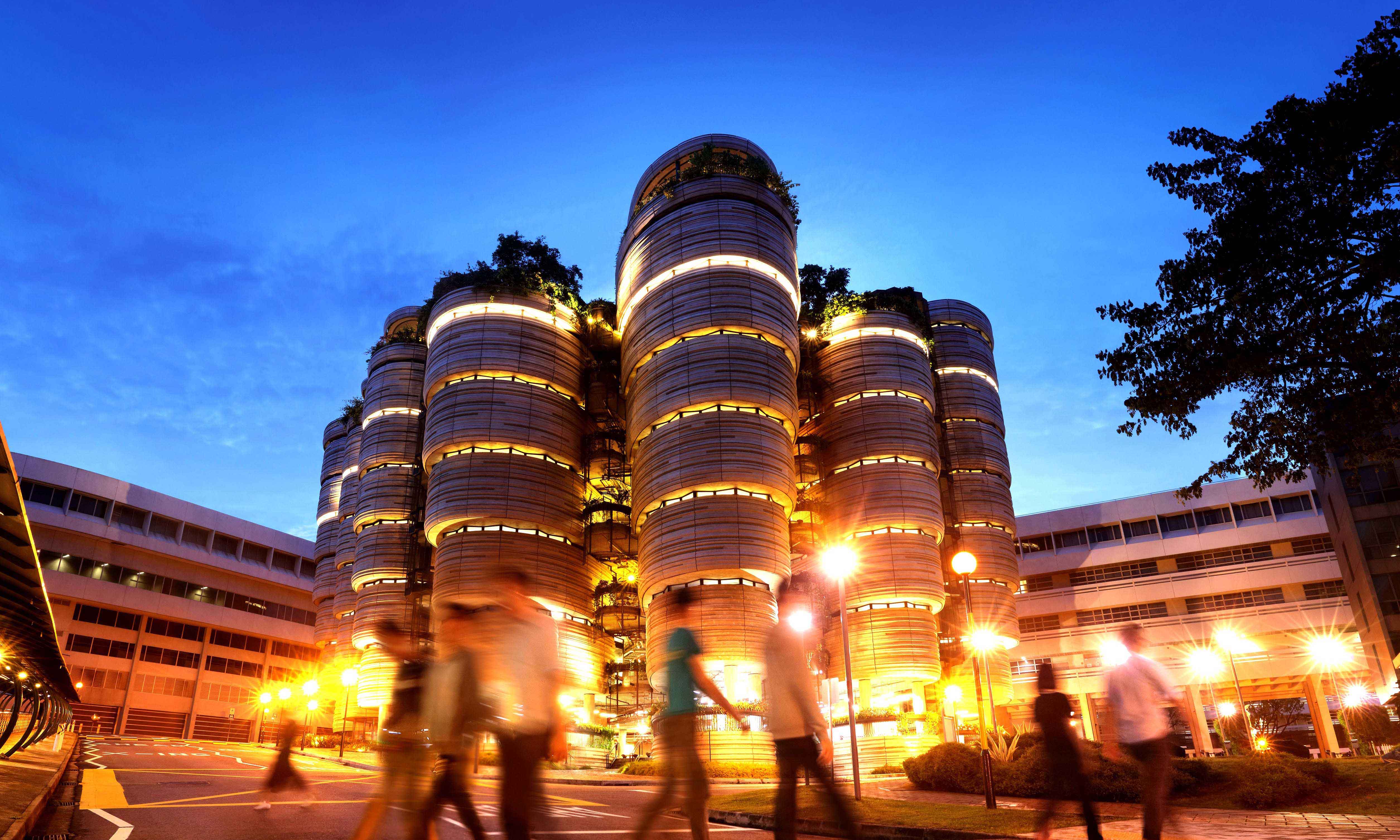 NTU Singapore Is Ranked Among World S Top 12 Universities NTU Singapore   The Hiveed0fffeb E6c0 46dd 9132 7321783f67a9 