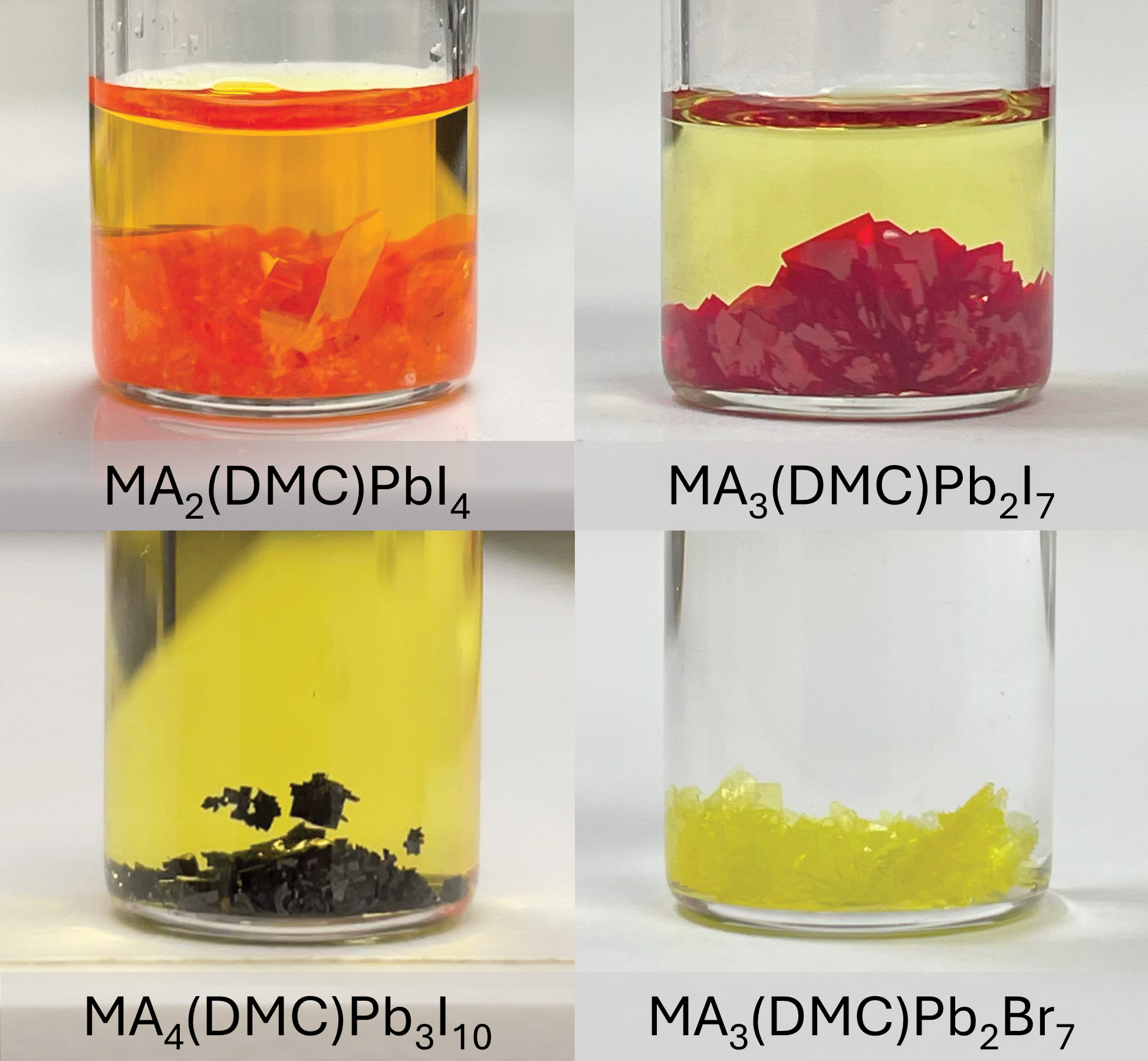 Photo of four colour-changing perovskites