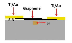 Figure 1: Waveguide-enhanced graphene modulation for on-chip biosensing.