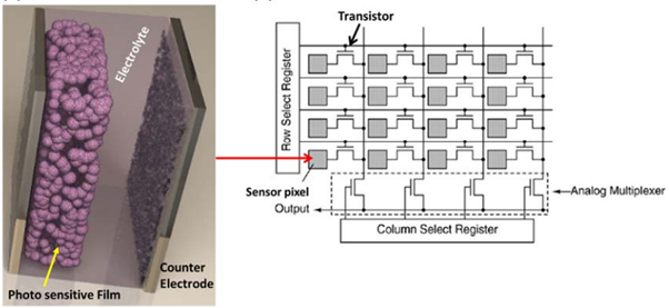Figure 1: View of the computer vision sensor for real-time object detection.
