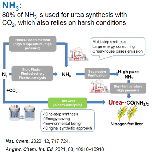 Figure 1: Process for developing a catalyst to form urea.