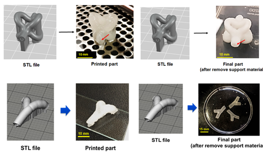 Figure 1: A new formulation of hydrogel with high fidelity enables 3d bioprinting of tissue and organ. 