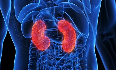 Acute Kidney Injury