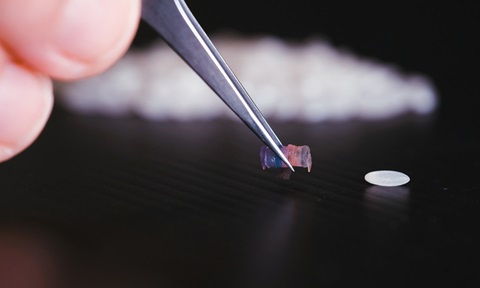 Mini drug delivery robot smaller than a grain of rice