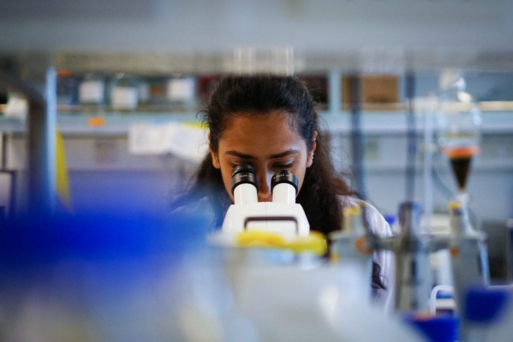 School Of Biological Sciences Ntu Singapore