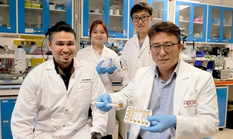 Scientists Develop 'Biorubber' Glue for Faster Surgical Recovery, Pain  Relief