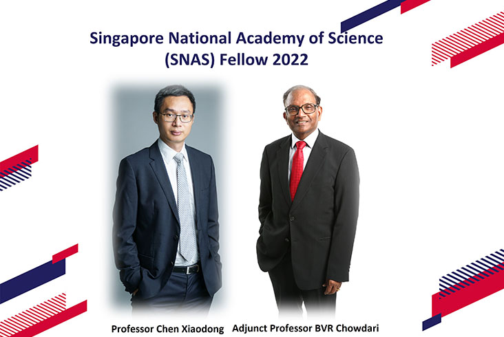 Prof Chen Xiaodong And Adj Prof BVR Chowdari Elected SNAS Fellow ...