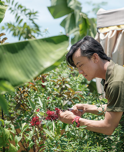 Mr Clarence Chua at the farm