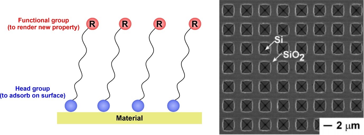 Self-Assembled Monolayers (SAMs): 2022 Kavli Prize In Nanoscience ...