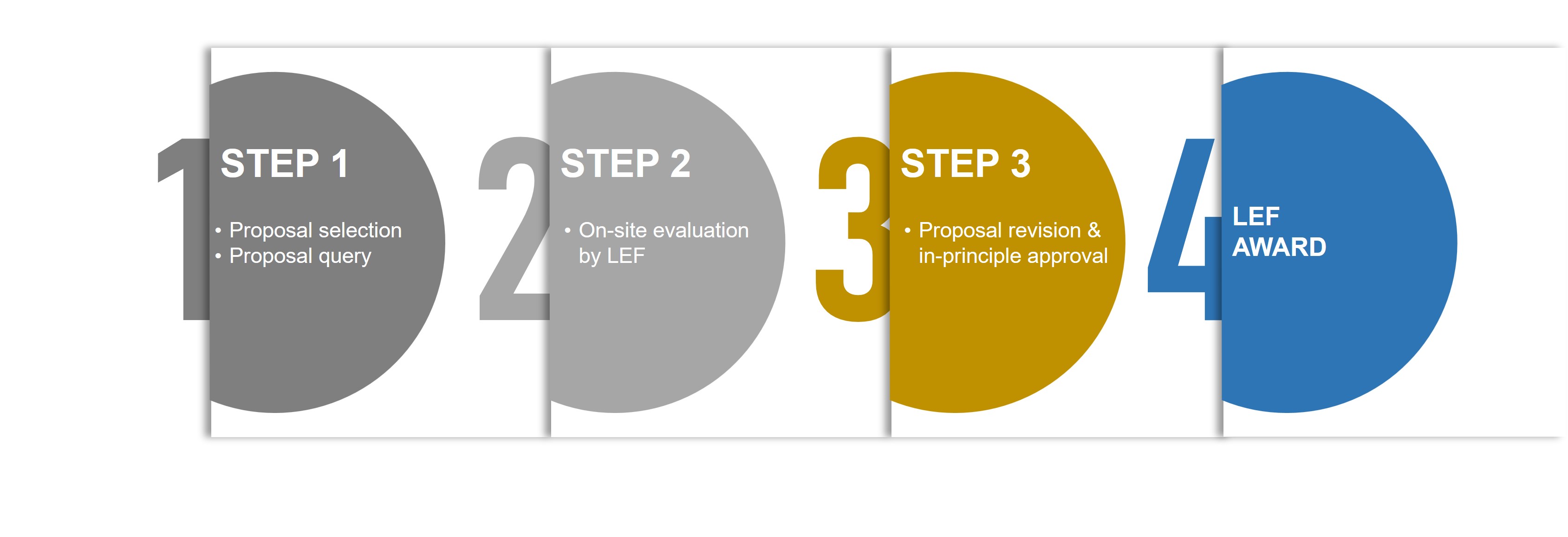 LEF process steps