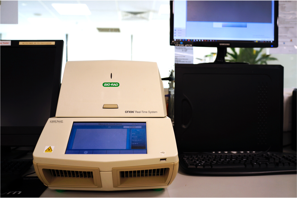 CFX96 Touch - Real-Time PCR Detection System | NTU Institute Of ...