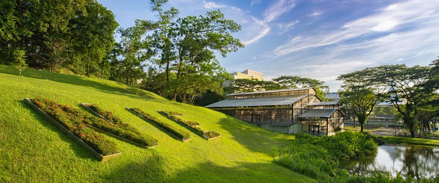 NIE Green Hill with Topiary of NIE Logo (side angle)