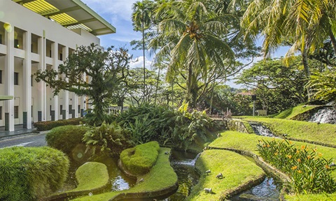 Lush Green Landscaping on NIE Campus Driveway Entrance with Building Banners (720x432px)